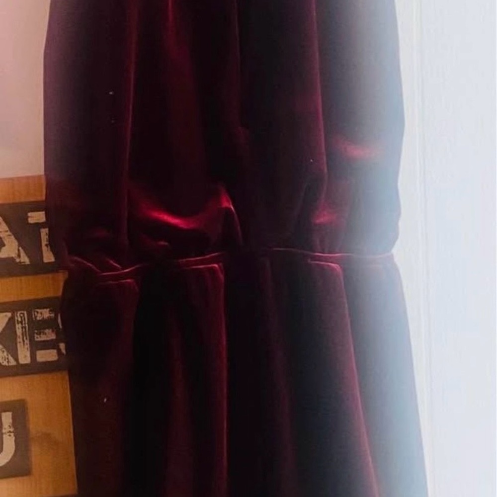 Elegant Velvet Burgundy Dress